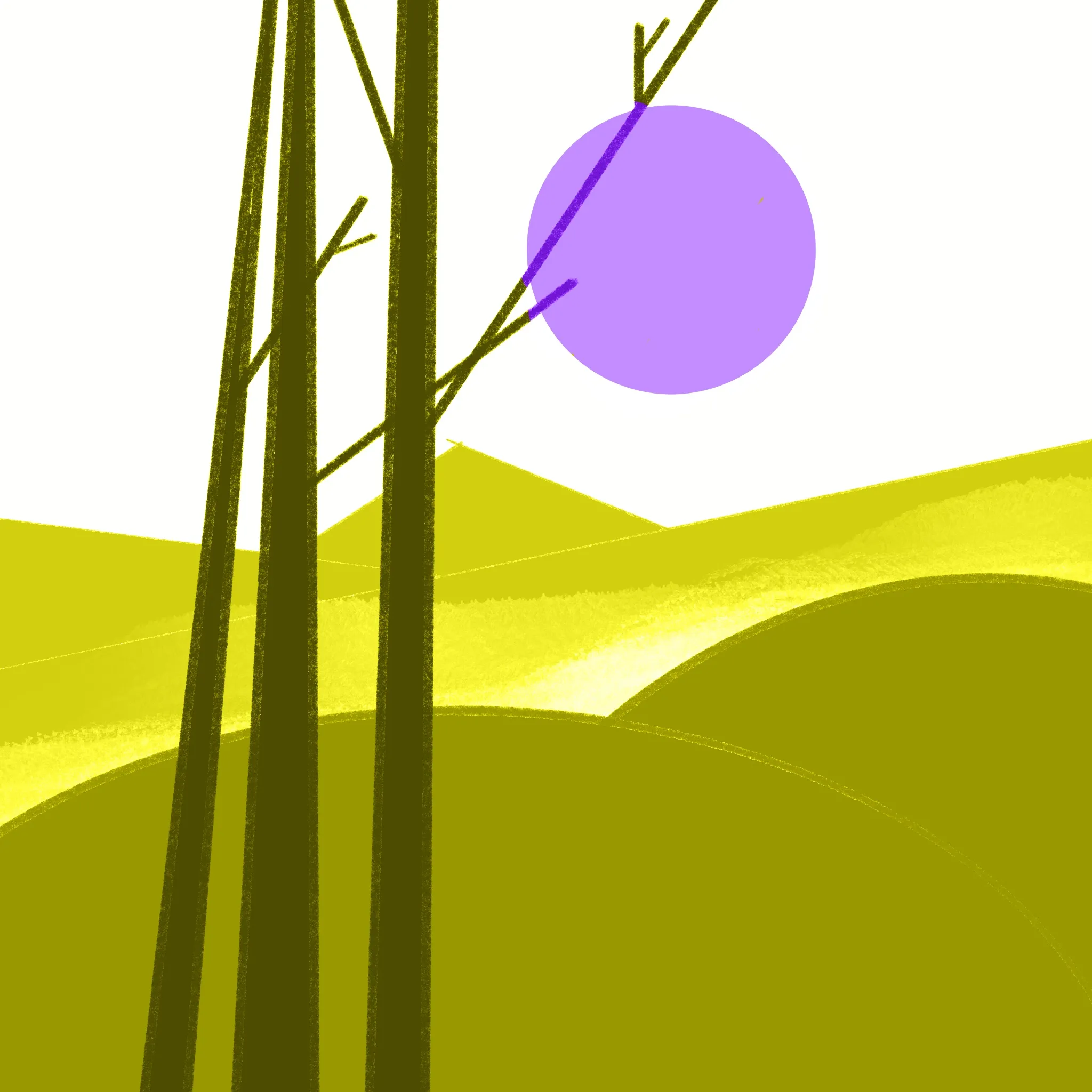 Landschaft